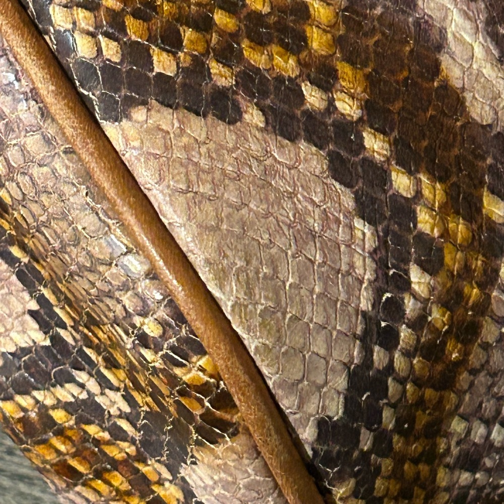 Dooney & Bourke Brown Florentine Python Snake Pri… - image 11